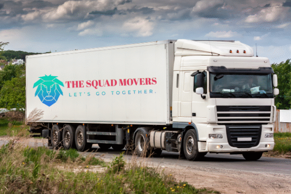 the squad movers, movers and packers, movers and packer in edmonton, movers and packer in Saskatchewan, movers and packer in British Columbia
