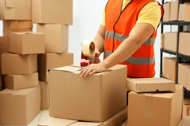 the squad movers, movers and packers, movers and packer in edmonton, movers and packer in Saskatchewan, movers and packer in British Columbia